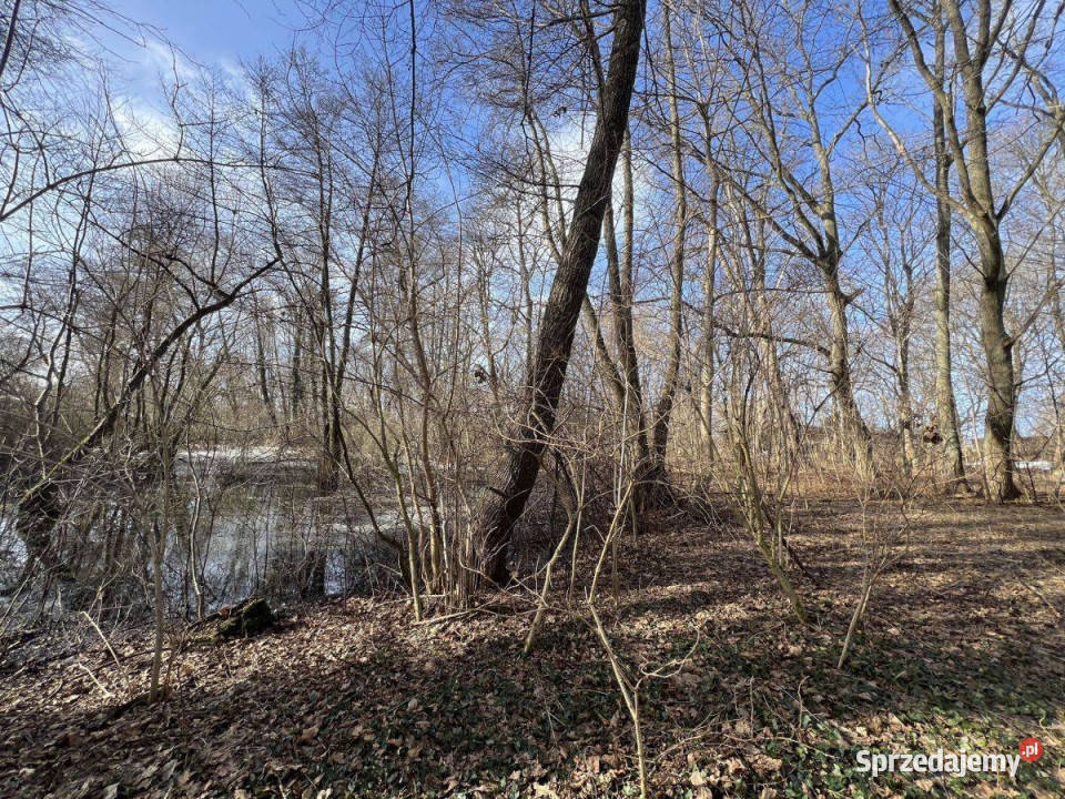 Na sprzedaż Zabytkowy Pałac z dużą działką Skórzyno