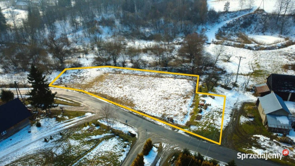 Działka na sprzedaż 2593m2 Paszowa podkarpackie