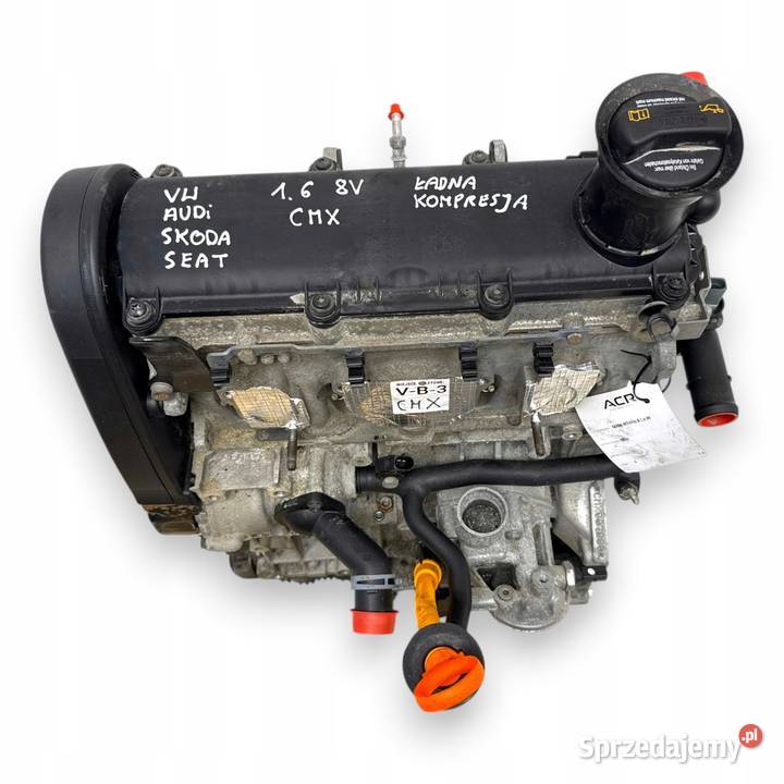 SILNIK BGU BSE CMX Audi A3 II 8P VW Golf V VI Chełm