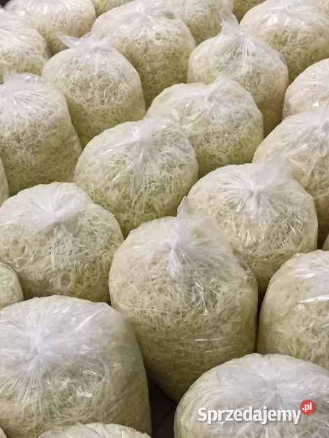 Kapusta szatkowana Grudziądz