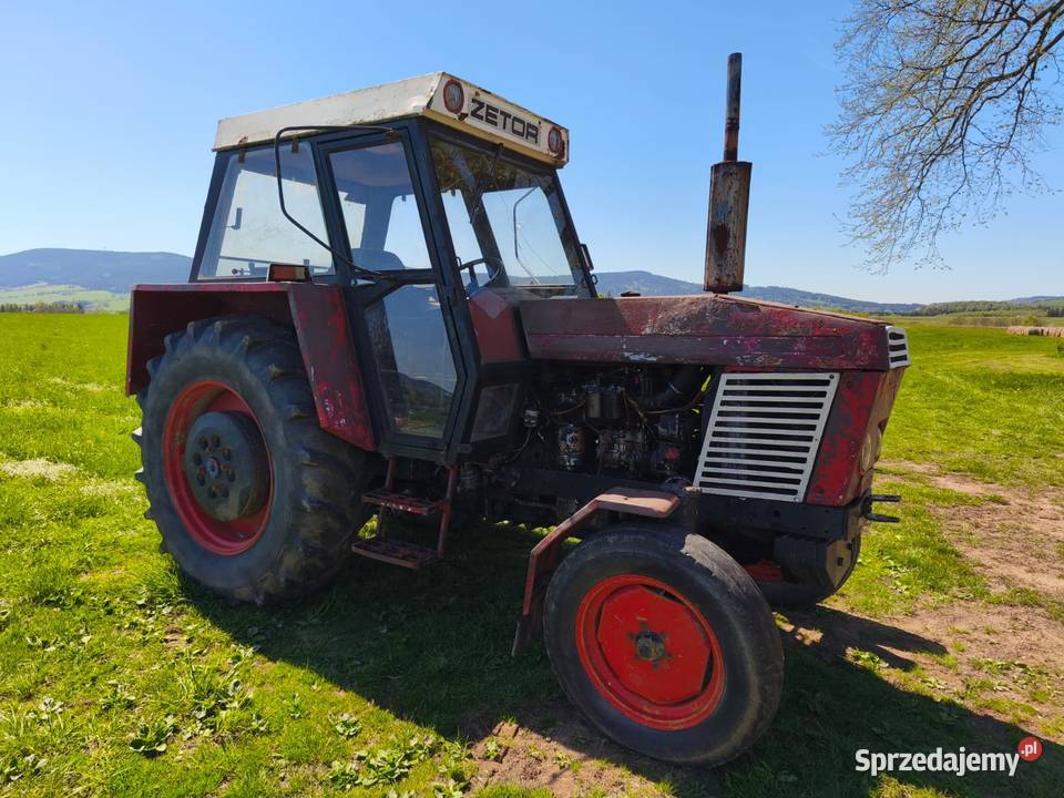 ZETOR 8011 sprawny żółw i zając dolnośląskie Międzylesie