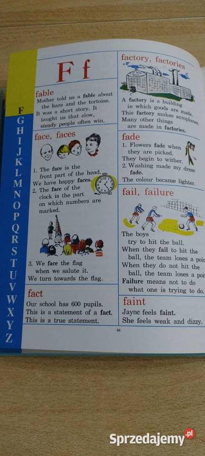 Wielki obrazkowy słownik chłopców i dzewczyn Lublin