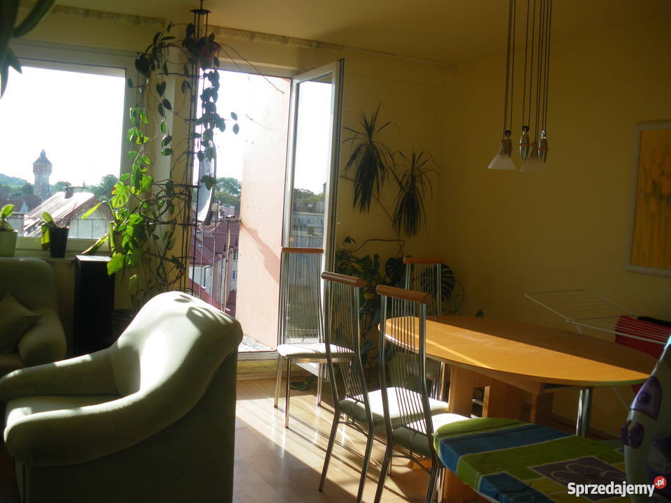 Sprzedam Mieszkanie w Olsztynku Centrum warmińsko-mazurskie Olsztynek