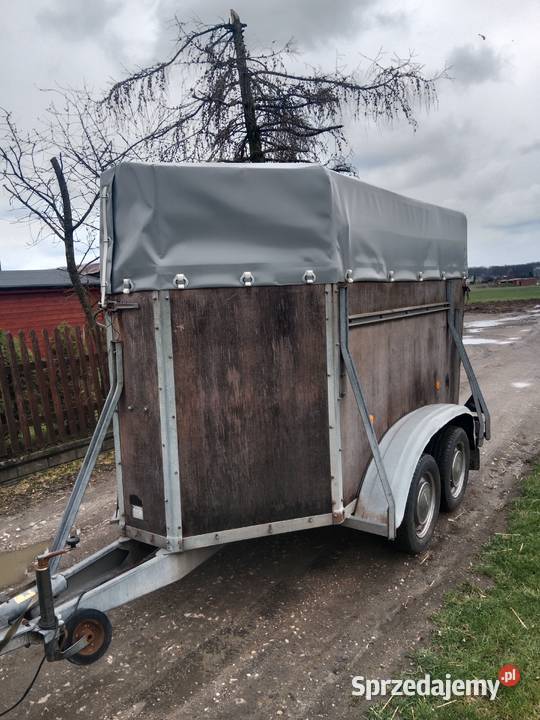 Przyczepa Bockmann sprzedam śląskie Pawonków sprzedam