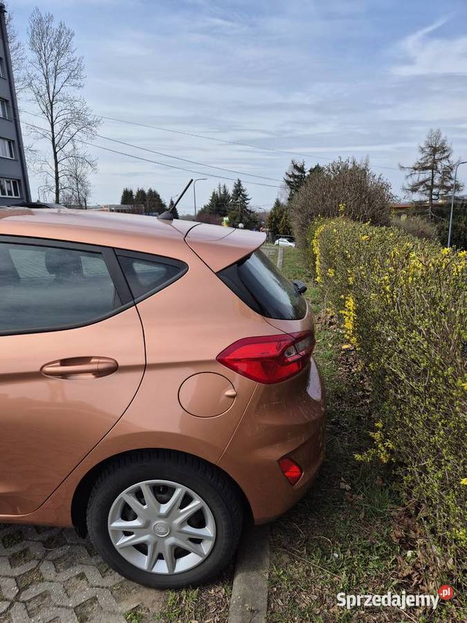 Ford Fiesta 2018 Motoryzacja