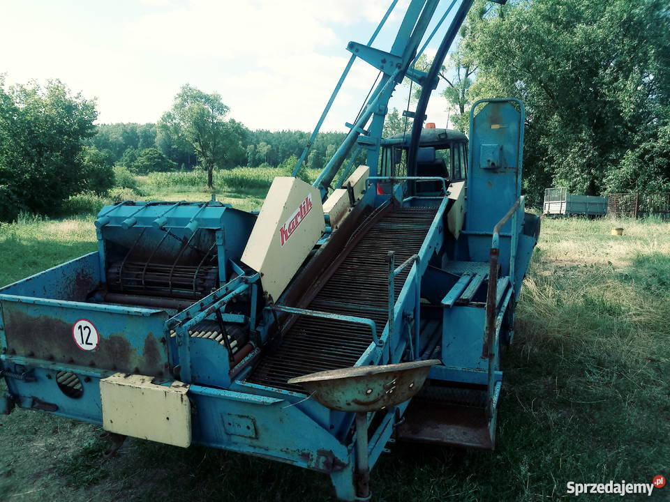 Kombajn ziemniaczany karlik Rolnictwo kujawsko-pomorskie Lipno