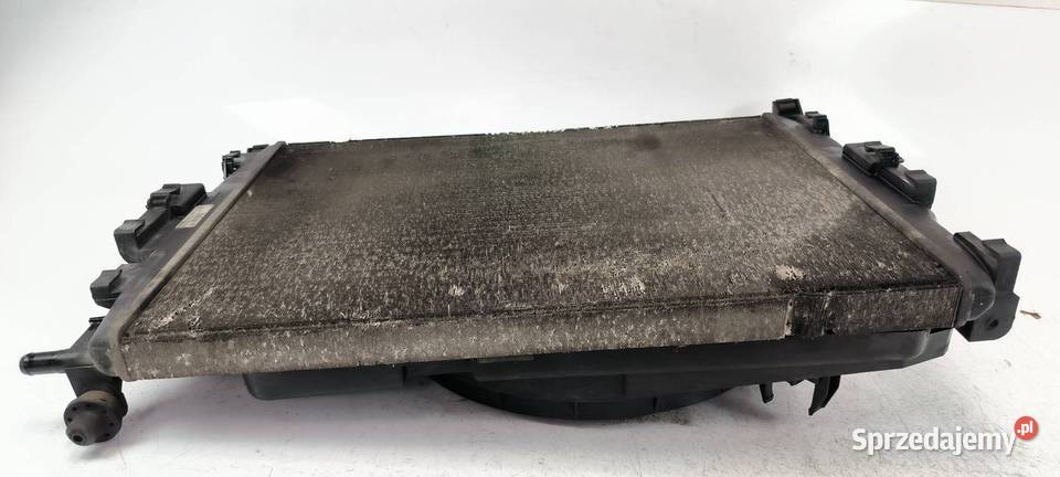 CHŁODNICA WODY RENAULT MEGANE SCENIC II kujawsko-pomorskie sprzedam