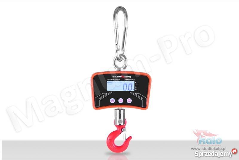 WAGA Hakowa 300 100g podwieszana dżwigowa Magazynowanie Poczesna