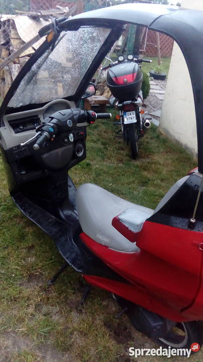 kingway poster z dachem fajny Dziemiany