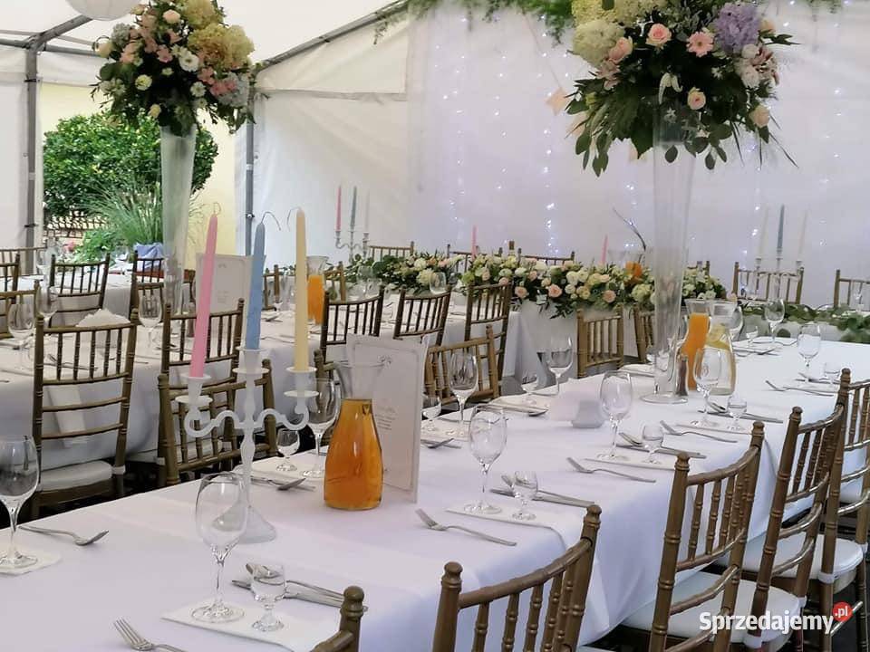 Wynajem namiotów wypożyczalnia namioty Warszawa