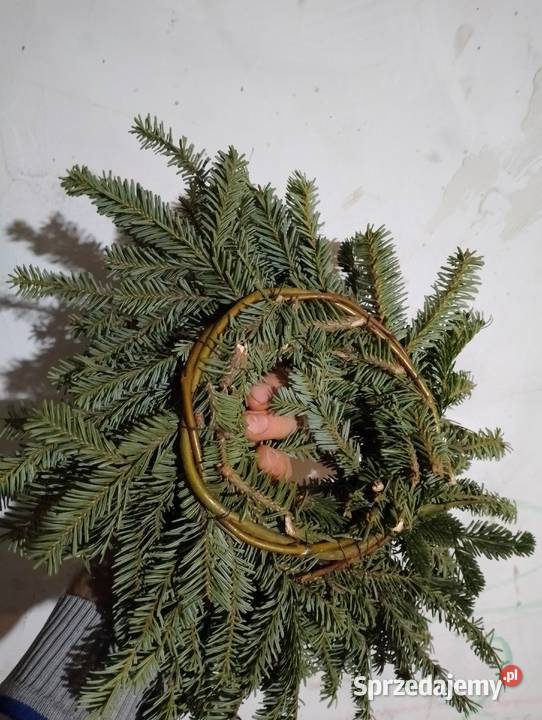 Wianki Bożonarodzeniowe różne Mszana Dolna