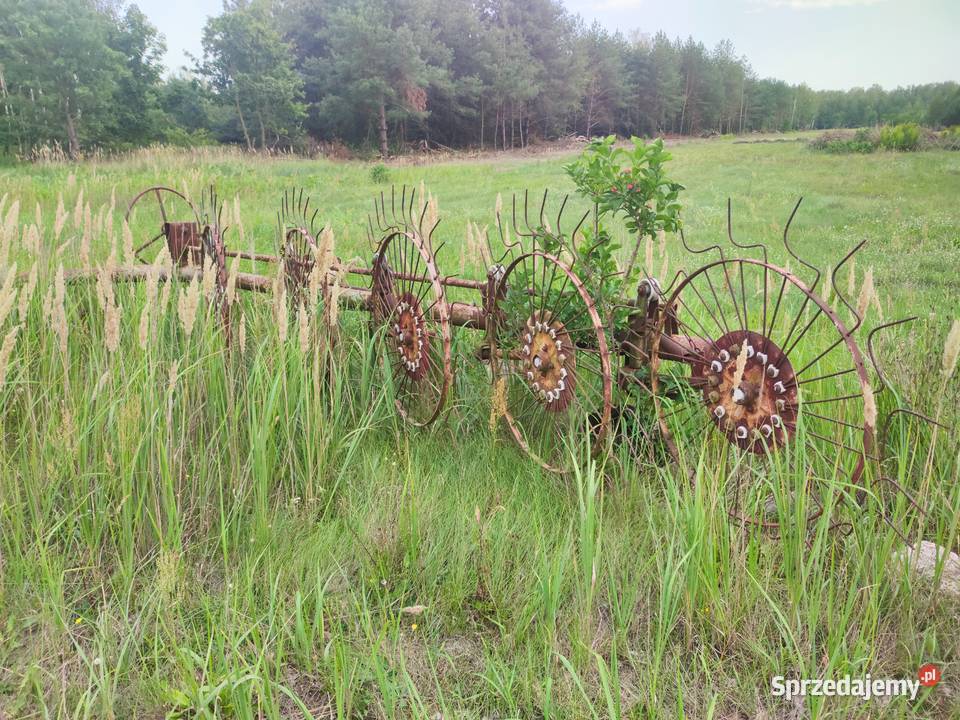 zgrabiarka gwiazdowa mazowieckie Góra Kalwaria sprzedam