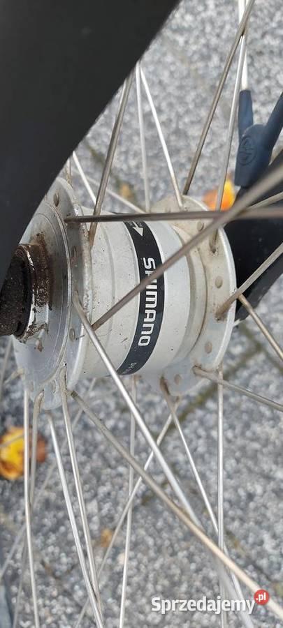 Rower elektryczny Batavus Milano e go Ostrów Wielkopolski sprzedam