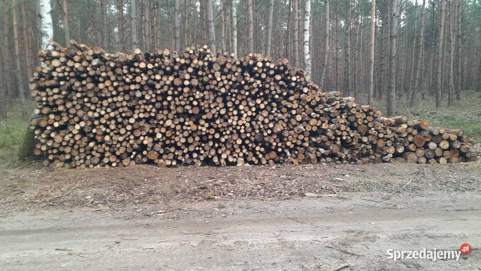 Drewno opałowe wielkopolskie Poznań sprzedam
