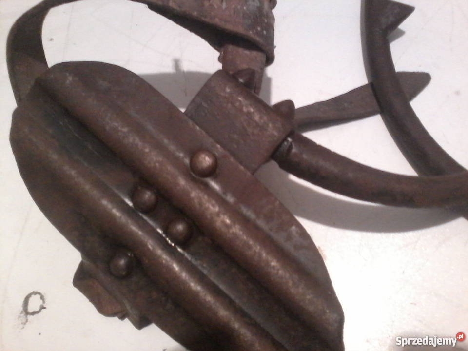 Stare słupołazy drzewołazy Pozostałe podkarpackie