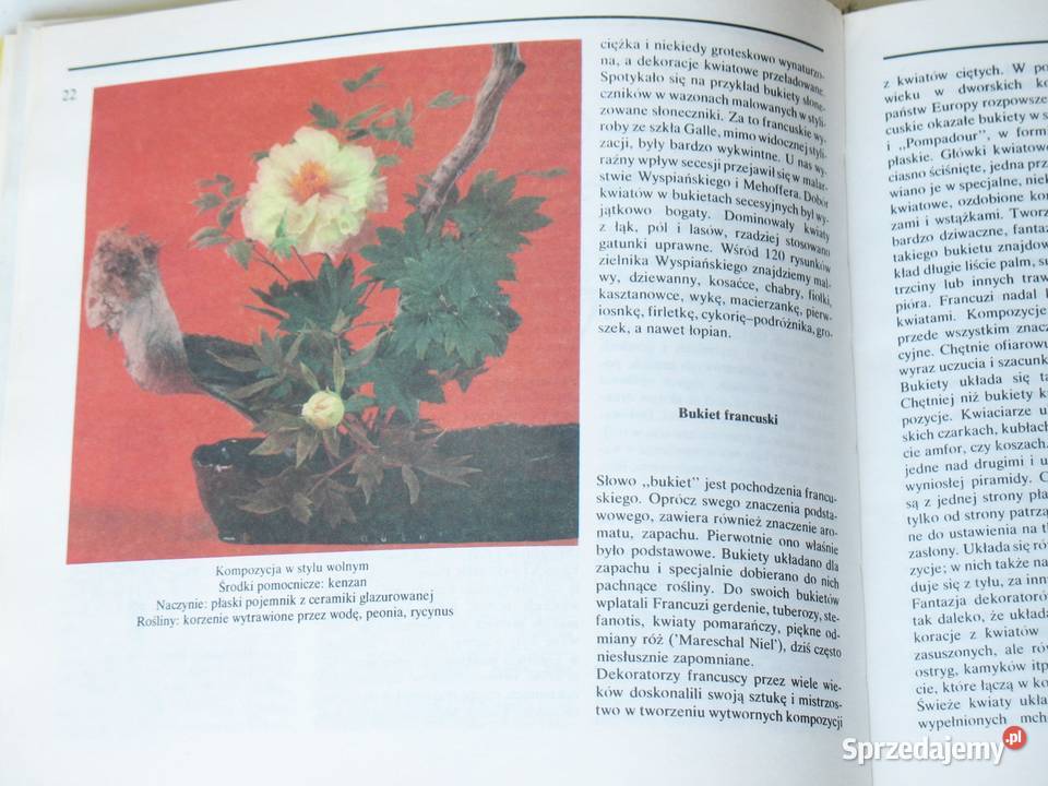 Układanki roślinne Joanna Szendel Kraków