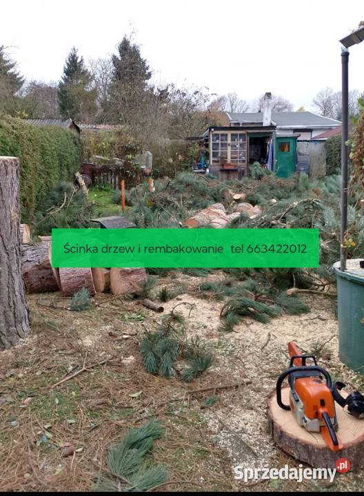 Wycinka karczowanie rembakowanie Głogów sprzedam