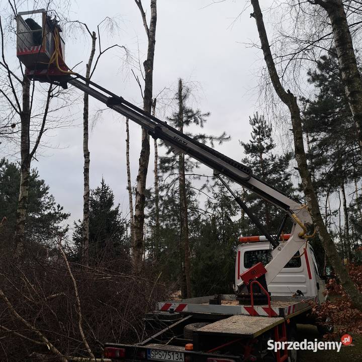 Podnośnik koszowy Iveco daily 12000h Łąka