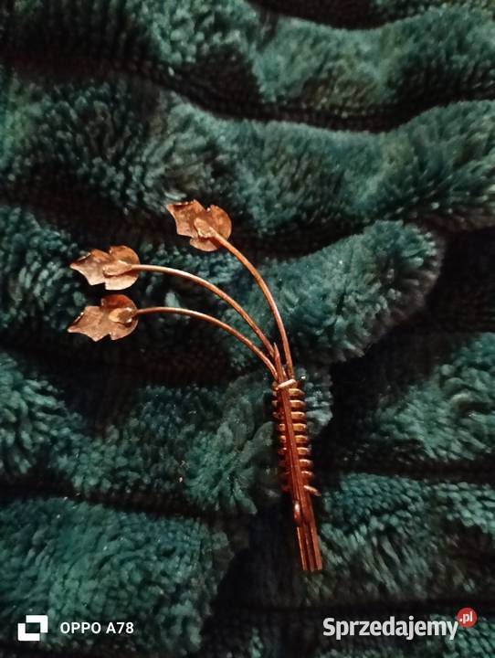 Broszka w kształcie liścia dolnośląskie Lubin sprzedam