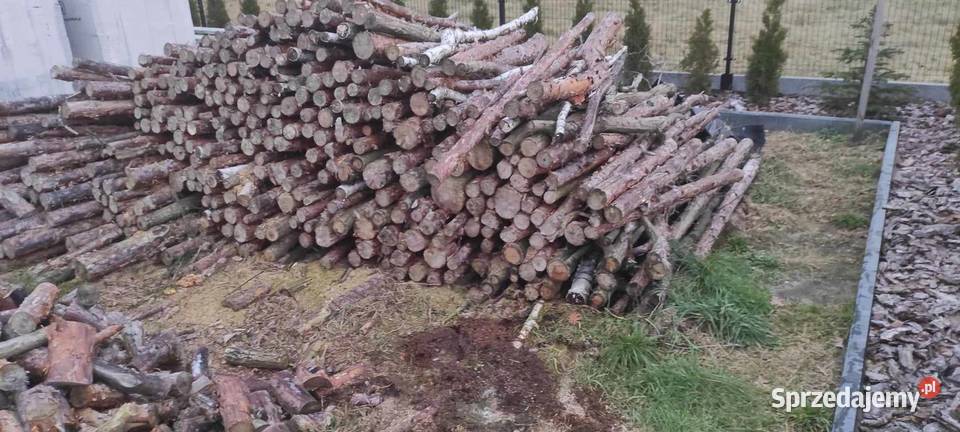 Sprzedam drzewo sosnowe Tanio Szynkarzyzna