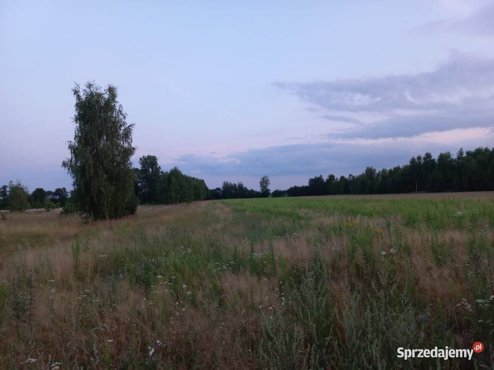 Działka budowlana drodze asfaltowej Sprzedaż