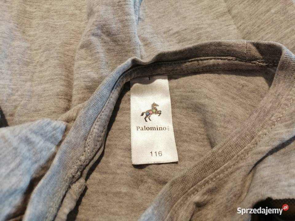 Koszulka krótki rękaw Tshirt dinozaury 116 CA Czeladź