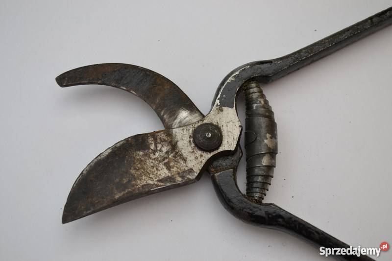 SEKATOR NOŻYCE GERLACH Poznań