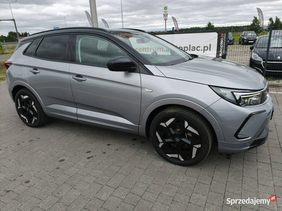 Opel Grandland Lipówki