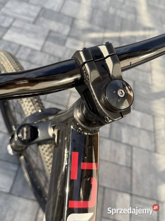 Kands colt f1 Wierzchosławice