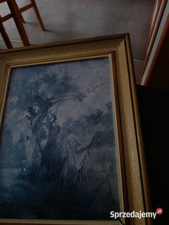 obraz wierzby moczarami Witold Pruszkowski Poznań