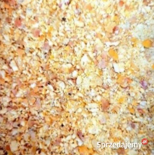 Kukurydza sucha suszona 100 ton Paprotnia