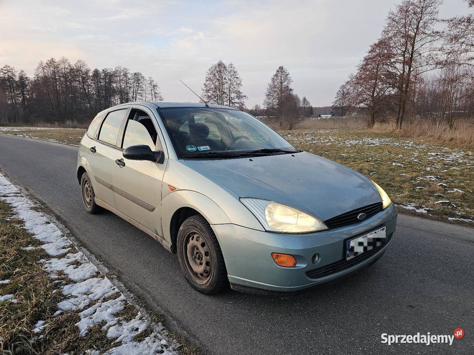 Ford Focus 14 łódzkie Chotynin