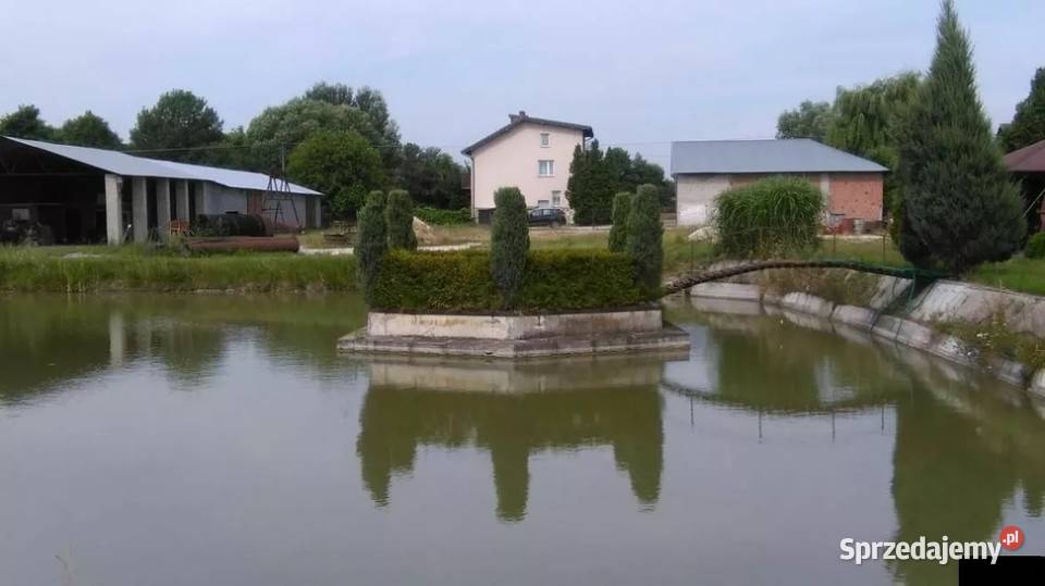 Sprzedam dom 120m2 w pięknej okolicy w pobliżu 1 piętro świętokrzyskie Chotel Czerwony