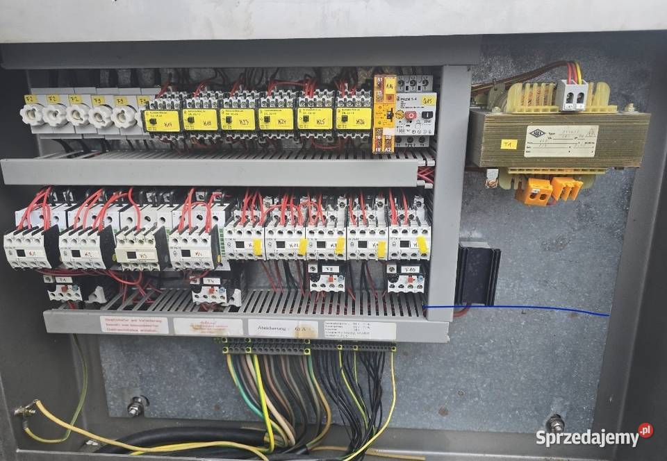 Wilk masarski śląskie