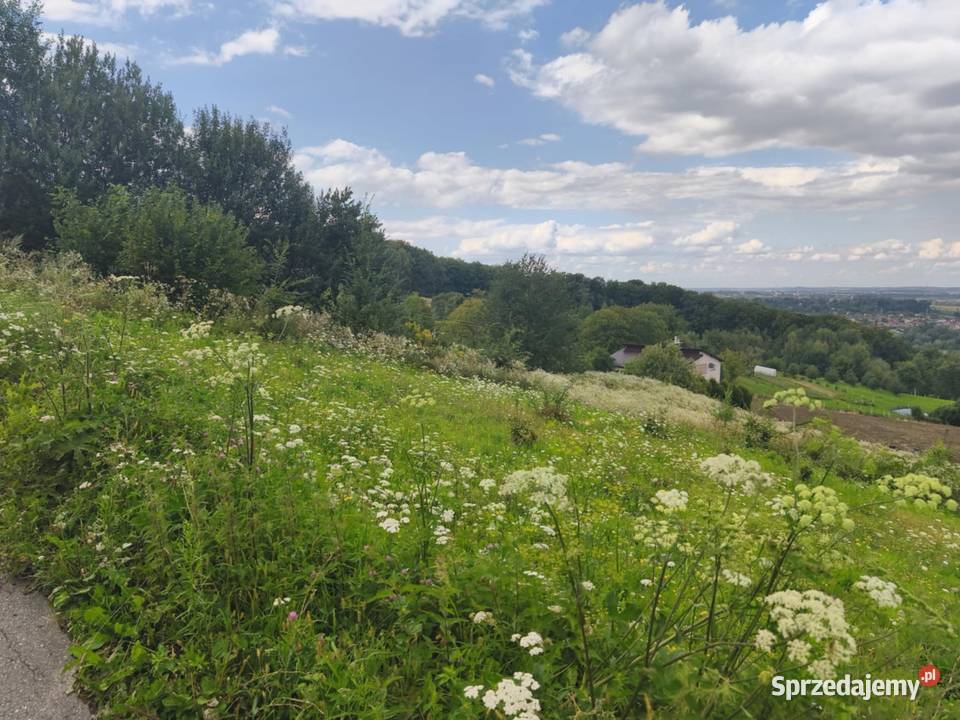 Wyjątkowa działka budowlana z panoramicznym Pleśna sprzedam