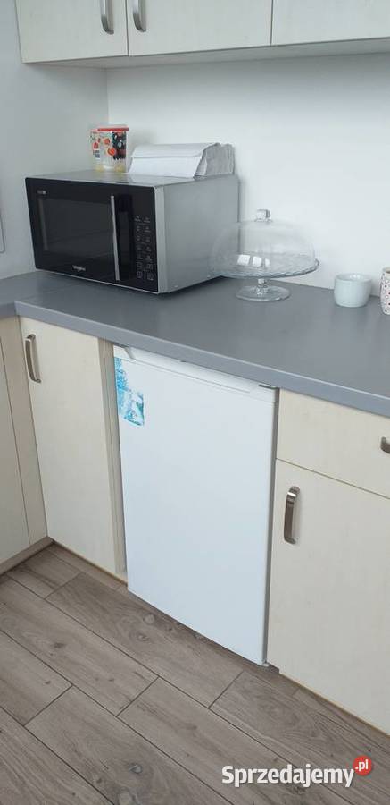 Syndyk Silvan Sea Air sp z oo spk w upadłości Usługi Poznań