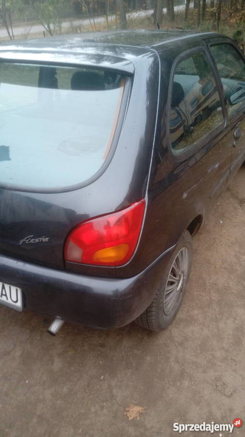 Fiesta mk4 na części w całości Hatchback Gorzów Wielkopolski