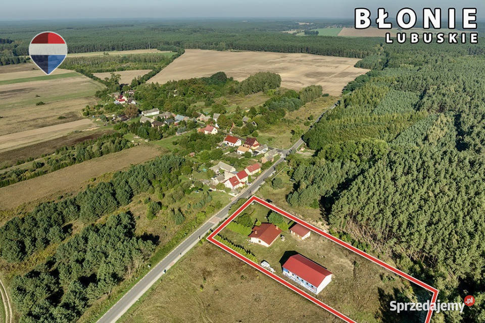 Dom parterowy wysoka hala garaże i pół hektara cegła lubuskie Błonie