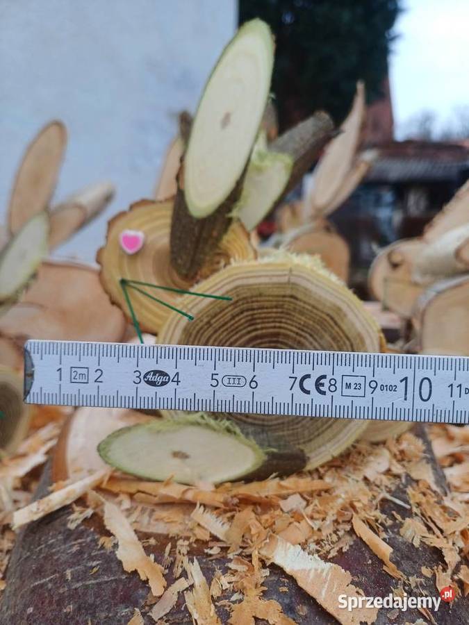 zajac wielkanocny Żary sprzedam