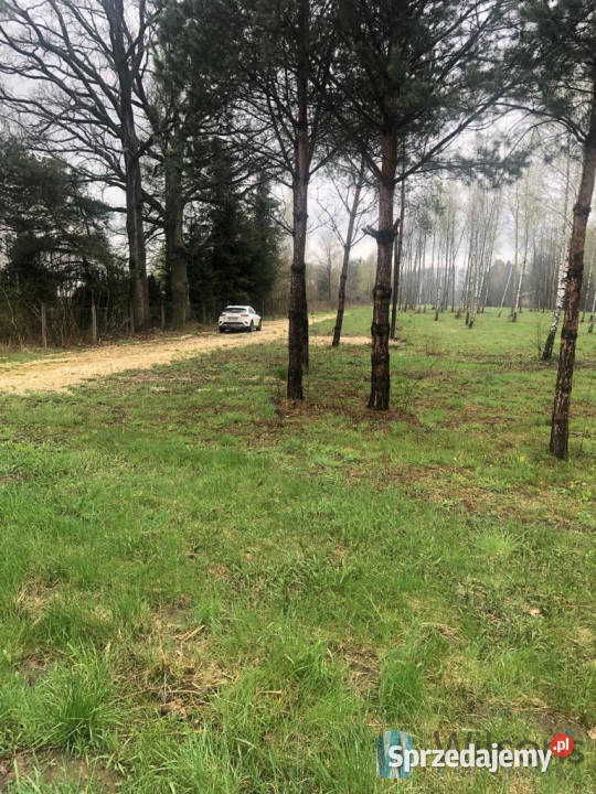 Działkę sprzedam 3400m2 Duży Dół