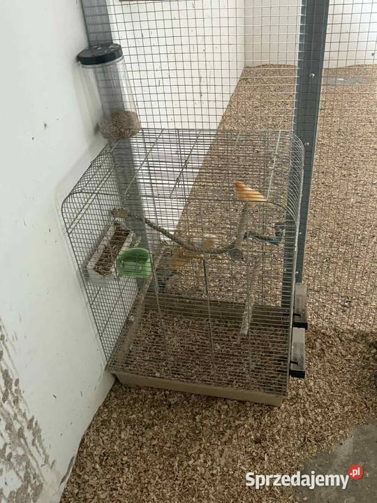 Klatka z kanarkiem Łask