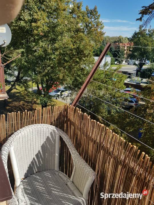 Mieszkanie wynajem Tarnow Tarnów