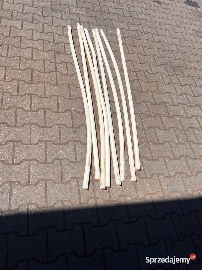 Prętybanany otrząsające BRAUD Rawa Mazowiecka