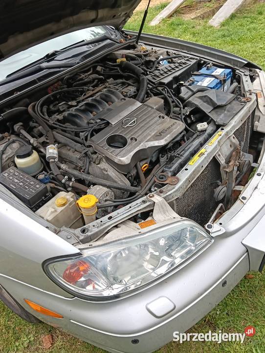 Nissan Maxima automatyczna Węgliniec