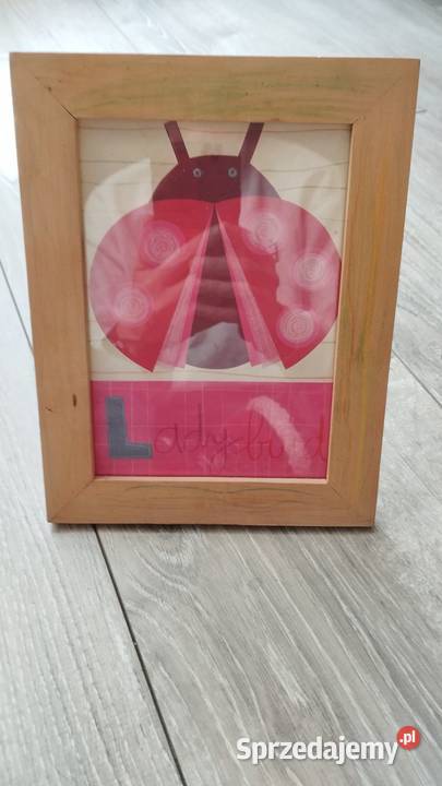 obraz obrazek dekoracyjny biedronka Poznań