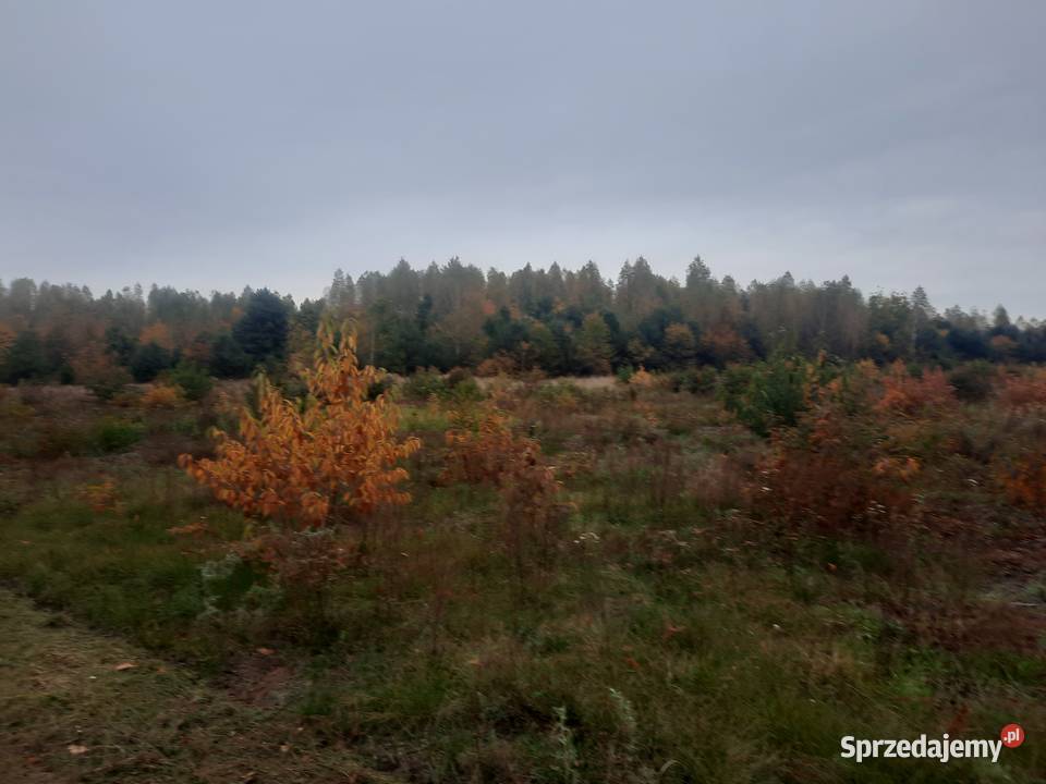 koszenie nieużytków porządkowanie działek Radom