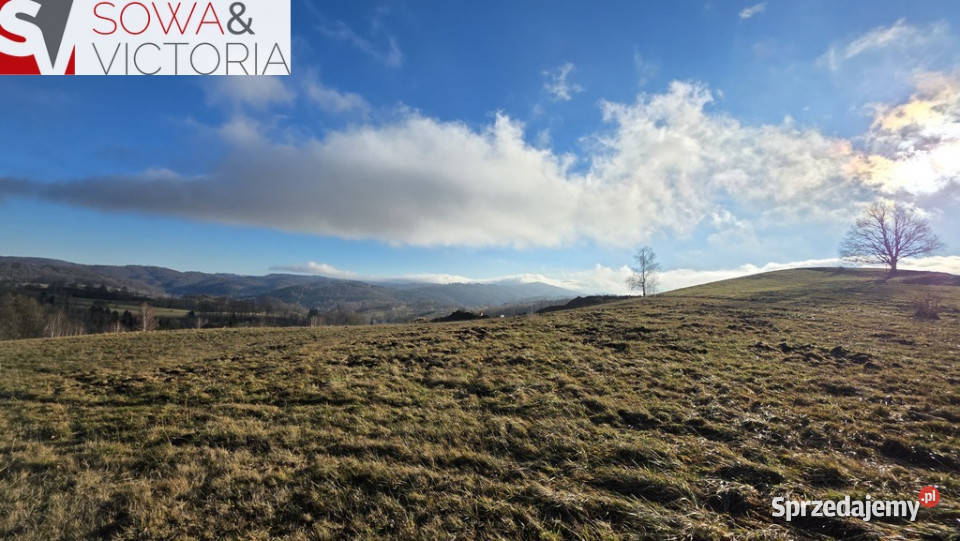Rezydencjalna działka budowlana w Górach Sowich utwardzona Zagórze Śląskie