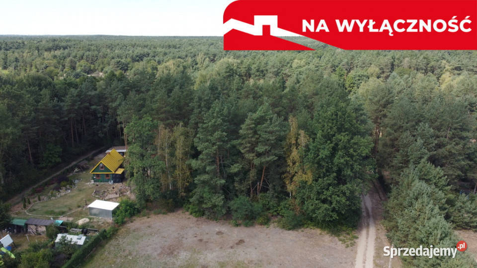 Działka letniskowa 800 m2 w Woli Chodkowskiej mazowieckie Wola Chodkowska