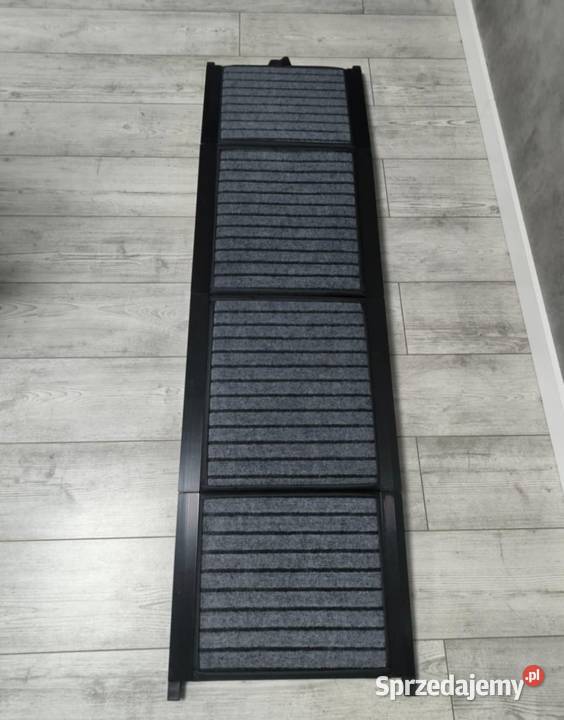 Składana rampa dużych psów pomorskie Starogard Gdański