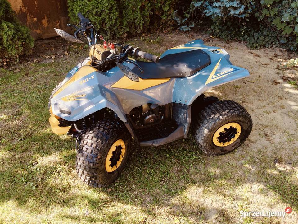 Quad 125 Access mini pojemność 125 nowy 2023r elektryczny Sandomierz